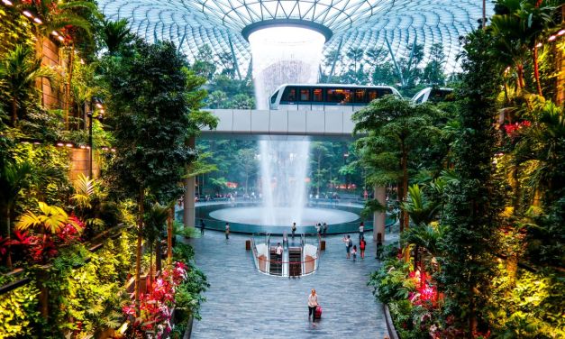 Singapore Changi adds autonomous baggage tractors