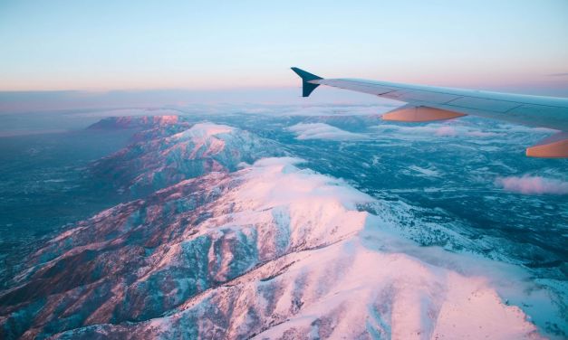 Navigating AI models for language, markets and the world