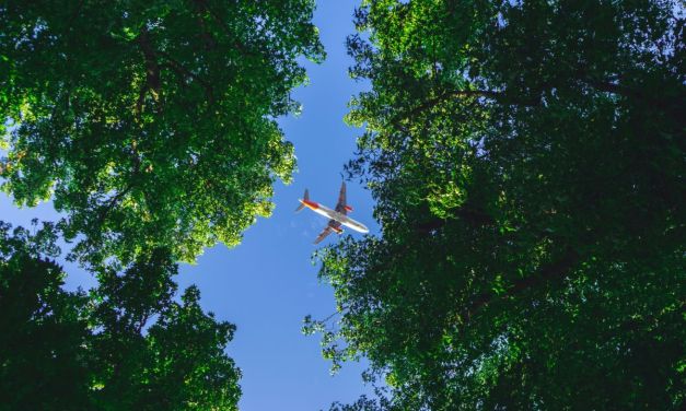 Cirium review ranks world’s most carbon-efficient airlines